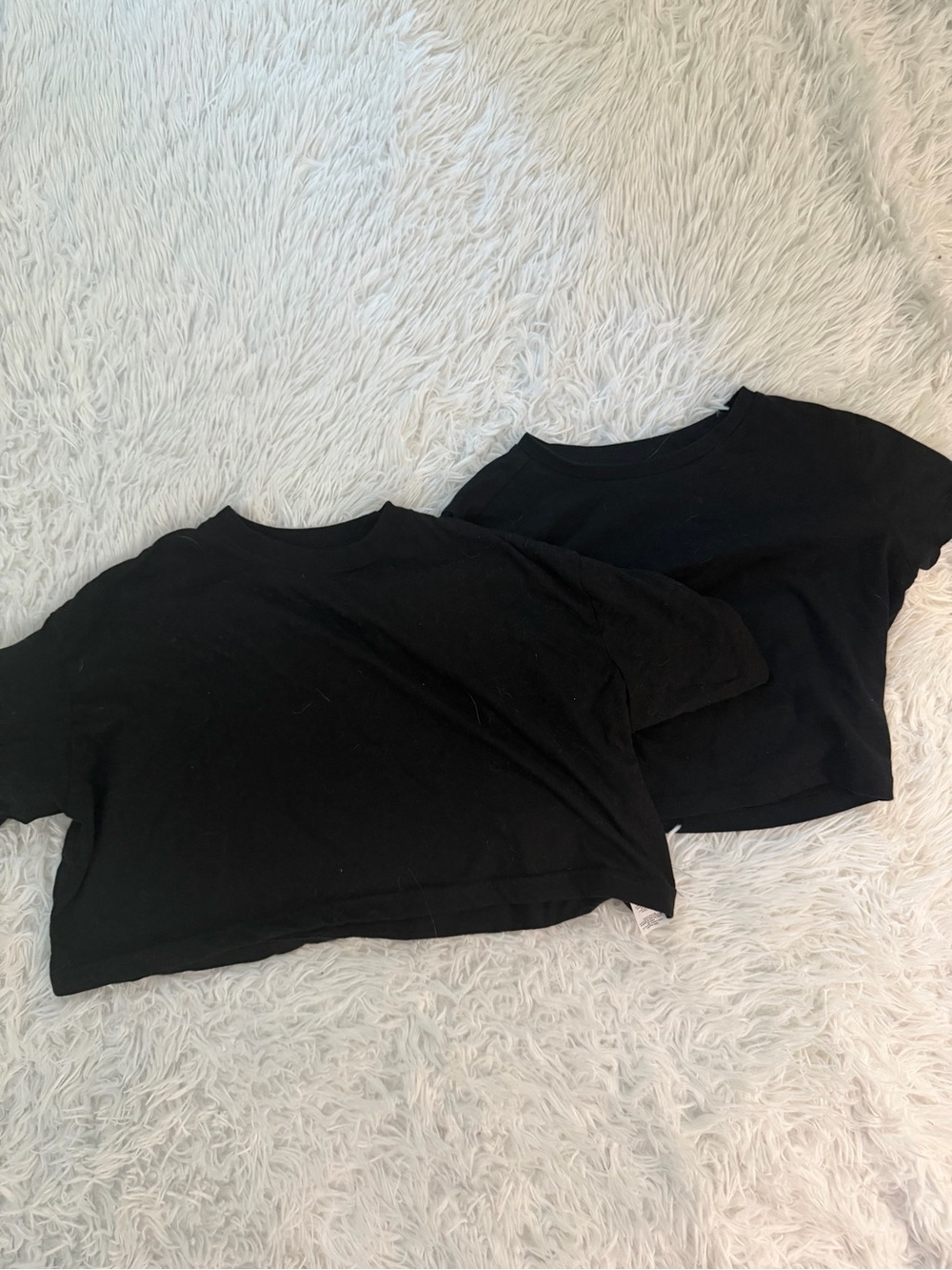 Black Crop Tee Bundle Small Wild Fable Boohoo Cotton Basic Tops